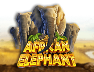 Permainan Slot Online African Elephant