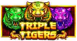 Triple Tigers GameSlot Online - Menguasai Game Slot Triple Tigers: Ikon Daya serta Keberuntungan. Game slot online sudah jadi salah satu wujud